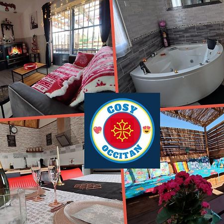 Le Cosy Occitan Villa Chaleureuse Independante Baignoire Terrasse Jardin Carcassonne Ngoại thất bức ảnh