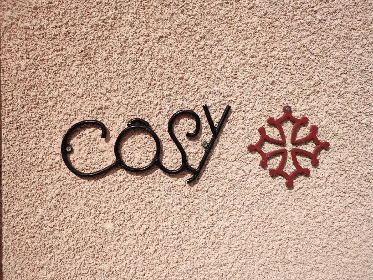 Le Cosy Occitan Villa Chaleureuse Independante Baignoire Terrasse Jardin Carcassonne Ngoại thất bức ảnh