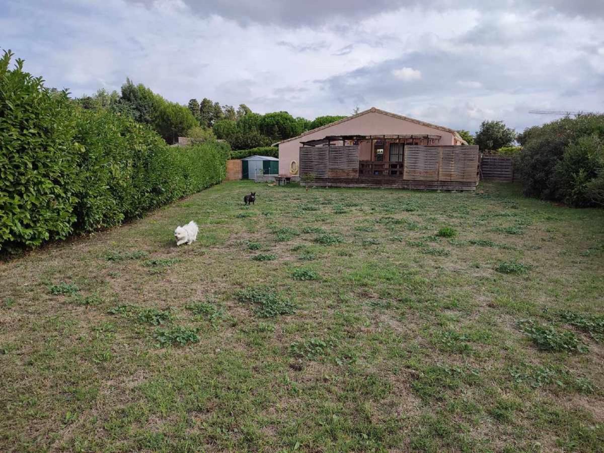 Le Cosy Occitan Villa Chaleureuse Independante Baignoire Terrasse Jardin Carcassonne Ngoại thất bức ảnh