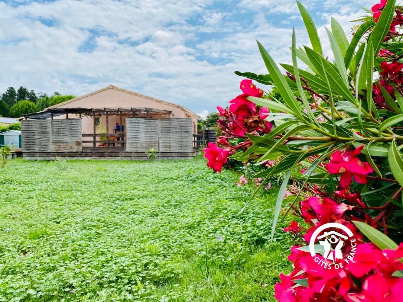 Le Cosy Occitan Villa Chaleureuse Independante Baignoire Terrasse Jardin Carcassonne Ngoại thất bức ảnh